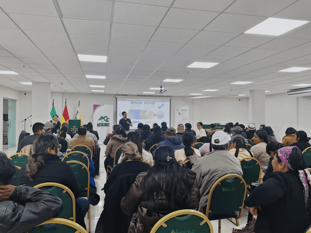 CICLO DE TALLERES FORMULACIÓN DEL POA